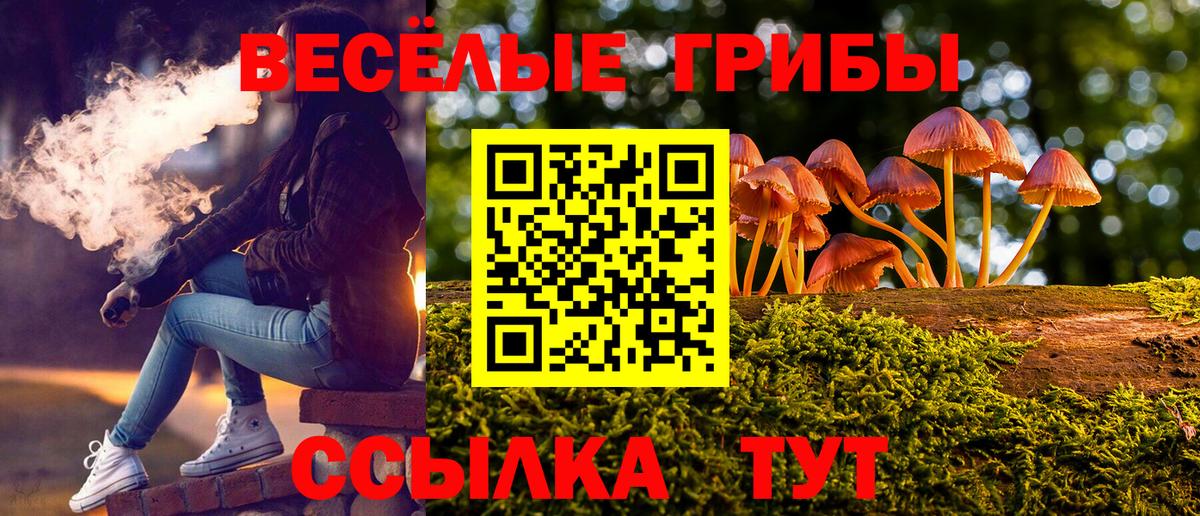 Псилоцибиновые грибы Psilocybine cubensis  Вход с VPN  купить  сайты  Орск 